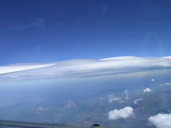 Cagire tout petit
sous lentille