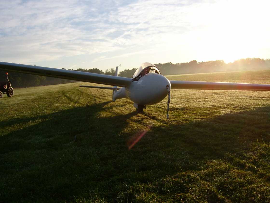 libelle au petit matin